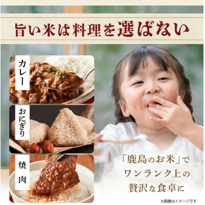 令和7年度産 鹿島市産 [さがびよりor夢しずく] 5kg 1袋 【品種指定不可】 玄米