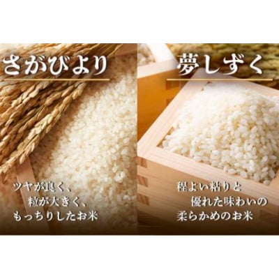 令和7年度産 鹿島市産 [さがびよりor夢しずく] 5kg 1袋 【品種指定不可】精米済　白米