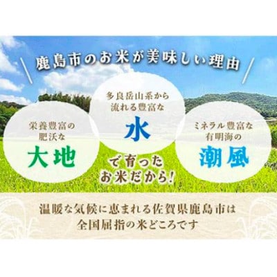 令和7年度産 鹿島市産 [さがびよりor夢しずく] 5kg 1袋 【品種指定不可】精米済　白米