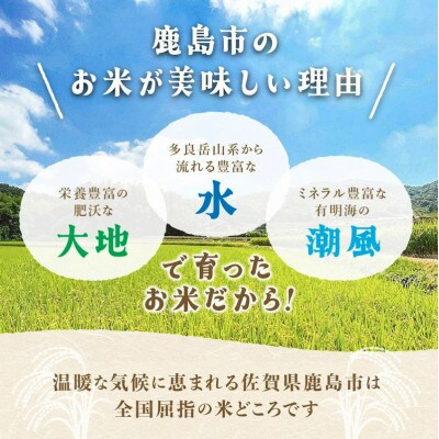 令和7年度産 鹿島市産 [さがびよりor夢しずく] 5kg 1袋 【品種指定不可】精米済　白米