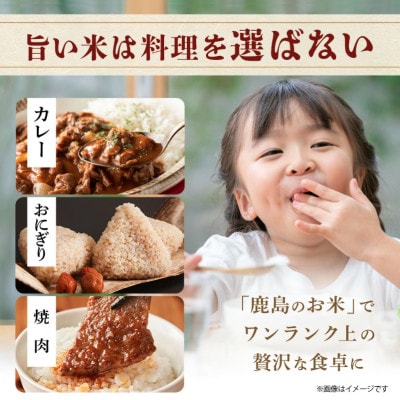 令和7年度産 鹿島市産 [さがびよりor夢しずく] 5kg 1袋 【品種指定不可】精米済　白米