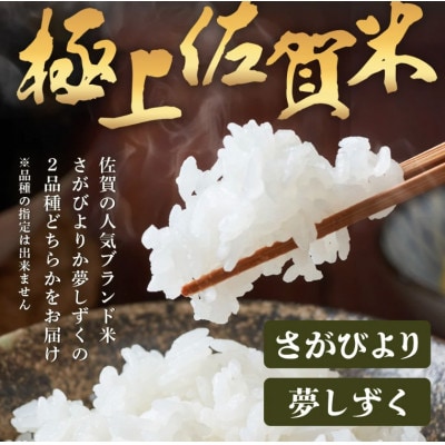 令和7年産 鹿島市産 [さがびよりor夢しずく] 30kg 1袋 【品種指定不可】