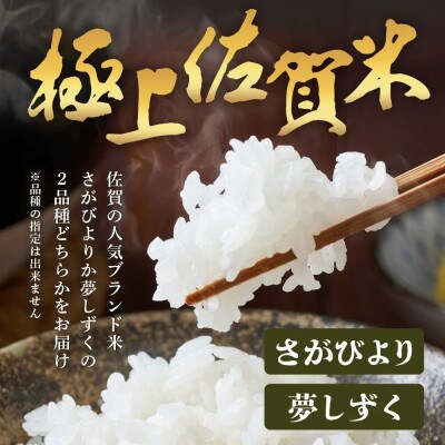 令和7年度産 鹿島市産 [さがびよりor夢しずく] 1kg 1袋【品種指定不可】精米済 白米