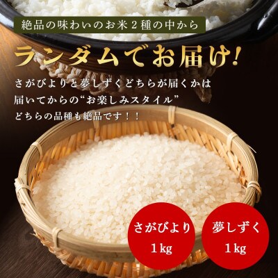 令和7年度産 鹿島市産 [さがびよりor夢しずく] 1kg 1袋【品種指定不可】精米済 白米