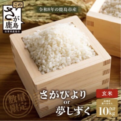 【令和8年産】鹿島市産 [さがびよりor夢しずく] 玄米10kg 1袋【品種指定不可】