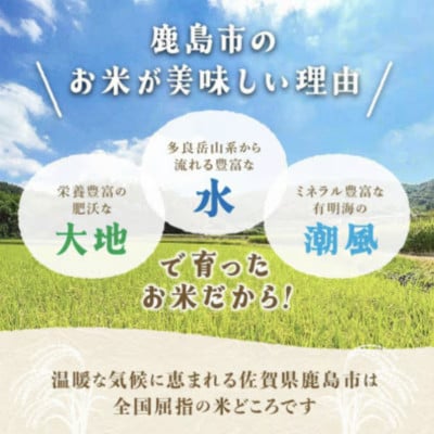 【令和8年産 先行予約】鹿島市産 夢しずく 5kg 1袋　精米　佐賀県