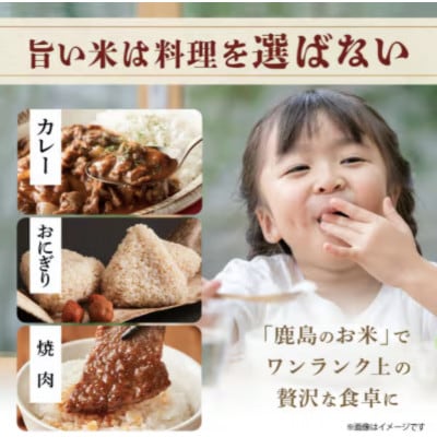 【令和8年産 先行予約】鹿島市産 夢しずく 5kg 1袋　精米　佐賀県