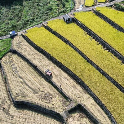 【令和8年産 先行予約】佐賀県鹿島市産 さがびより 5kg 1袋 精米