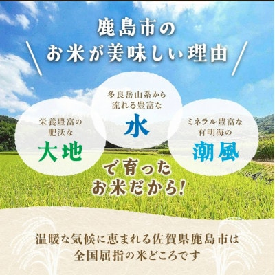 【毎月定期便】さがびよりor夢しずく 5kg 1袋【品種指定不可】精米済　白米全3回