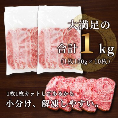 牛サーロインステーキ 牛脂注入 100g×5枚×2袋 合計1kg