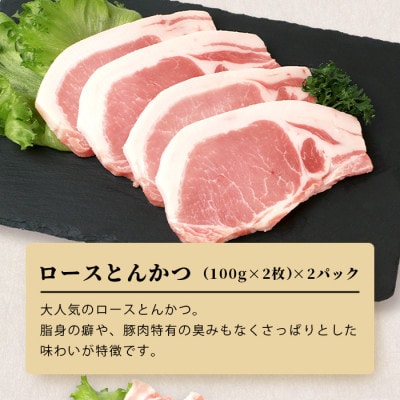 SPFプレミアムポーク 芳寿豚 バラエティセット とんかつ・スライス・ウィンナー 合計約1.15kg