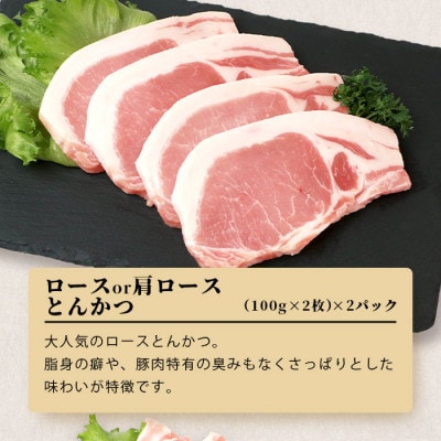 SPFプレミアムポーク 芳寿豚 バラエティセット とんかつ・スライス・ウィンナー 合計約1.15kg