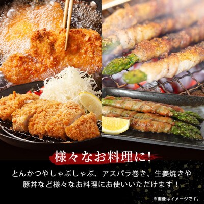 SPFプレミアムポーク 芳寿豚 バラエティセット とんかつ・スライス・ウィンナー 合計約1.15kg