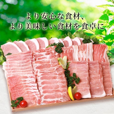 SPFプレミアムポーク 芳寿豚 まんぷくセット【合計2.8kg】