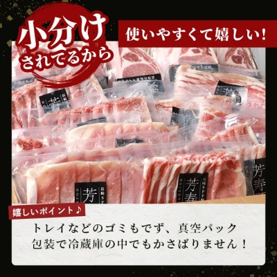 SPFプレミアムポーク 芳寿豚 まんぷくセット【合計2.8kg】