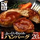 芳寿豚 ハンバーグ 2.4kg(120g×20個) お肉屋さんが作った 国産 生ハンバーグ