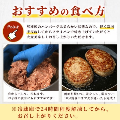 芳寿豚 ハンバーグ 2.4kg(120g×20個) お肉屋さんが作った 国産 生ハンバーグ