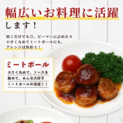 芳寿豚 ハンバーグ 2.4kg(120g×20個) お肉屋さんが作った 国産 生ハンバーグ