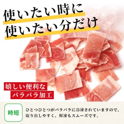 SPF芳寿豚 小間切れ 満足セット 合計5kg (1kg×5袋)