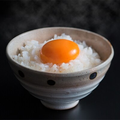 【長崎県川棚町産】美味しい野中のたまご　10kg箱(140個～180個)