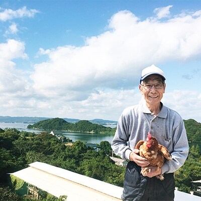 【長崎県川棚町産】美味しい野中のたまご　10kg箱(140個～180個)