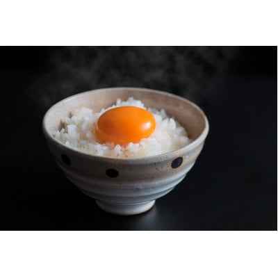 美味しい野中のたまご　40個入り箱