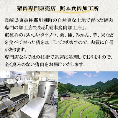 【天然イノシシ】あらびきミンチ肉　2kg