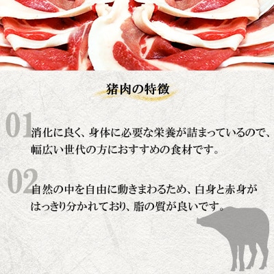 【天然イノシシ】あらびきミンチ肉　2kg