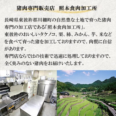 【ジビエ 天然イノシシ肉】角切り肉 800g(カレー・シチュー)