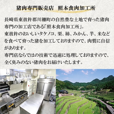 【ジビエ 天然イノシシ肉】粗挽きミンチ肉 800g