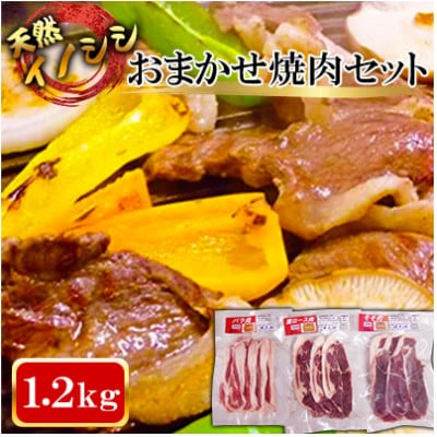 【ジビエ 天然イノシシ肉】おまかせ焼肉セット 1.2kg (ロース・モモ・バラ)