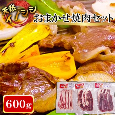 【ジビエ 天然イノシシ肉】おまかせ焼肉セット 600g (ロース・モモ・バラ)