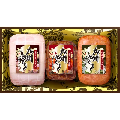 【12月より順次お届け 先行受付】「九州めぐり」ハム詰め合わせ3点セット　HSM-351