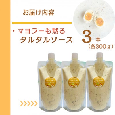 スムージー専門店が作った「マヨラーも黙るタルタルソース 」300g×3パック