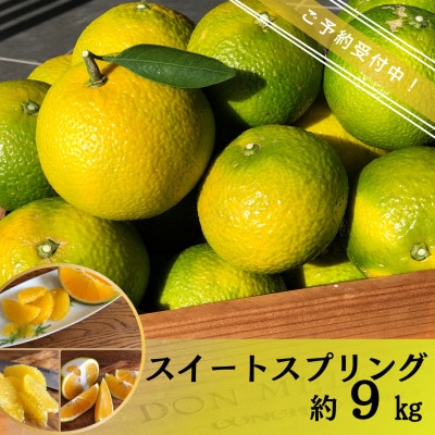【先行予約】長崎県産 スイートスプリング(約9kg)【Mt.Gファーム】