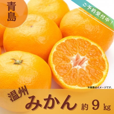 【先行予約】長崎県産 温州みかん(青島)(約9kg)【Mt.Gファーム】