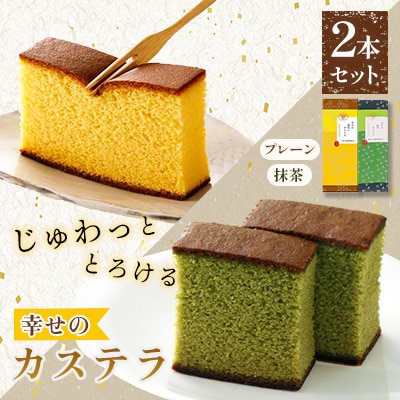 【長崎心泉堂】プリプリ新鮮卵使用!しっとり老舗カステラ2本セット(川棚町)