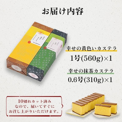 【長崎心泉堂】プリプリ新鮮卵使用!しっとり老舗カステラ2本セット(川棚町)