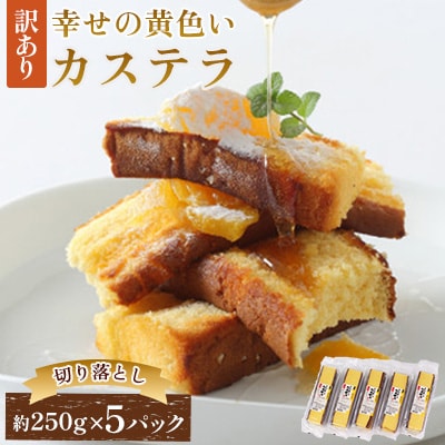 【長崎心泉堂】幸せの黄色いカステラ5パック(川棚町)
