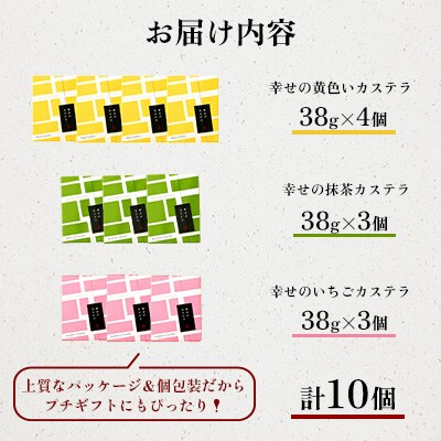 【長崎心泉堂】プリプリ新鮮卵使用!しっとり老舗カステラ<3種(計10個)>詰合(川棚町)