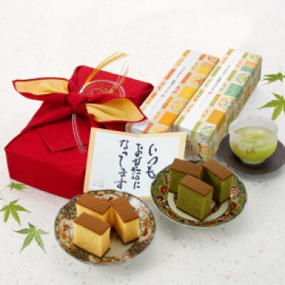 【毎月定期便】風呂敷包みギフト プリプリ新鮮卵使用!しっとり老舗カステラ2本詰合せ(川棚町)全6回