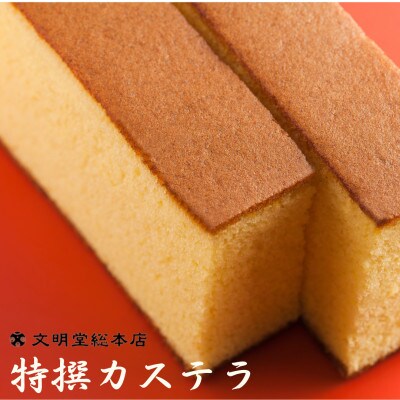【毎月定期便】【のし付き】文明堂 特撰カステラ文明堂2号(1号×2本)木箱(川棚町)全12回