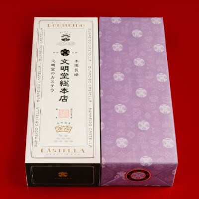 【毎月定期便】文明堂 長崎カステラ1号 (1号10切入×1本入)(川棚町)全12回