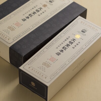 【毎月定期便】文明堂 長崎カステラ2号(1号10切入×2本入)(川棚町)全3回