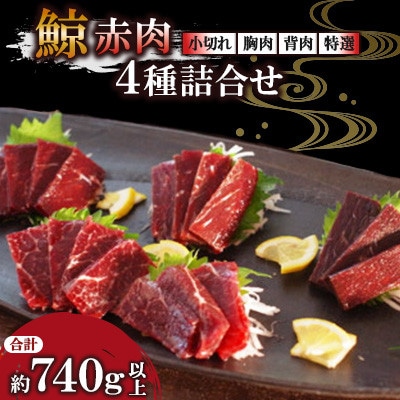 くじら赤肉4種詰め合わせ(小切れ約170g胸肉約170g背肉230～280g特選約170g)川棚町