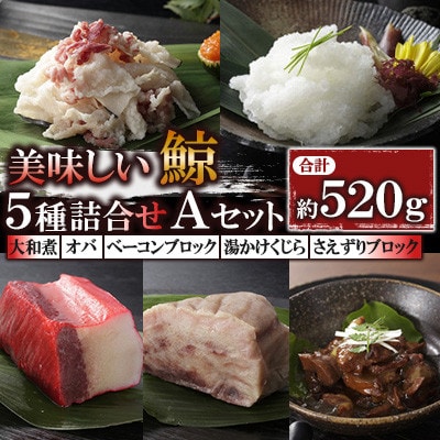 美味しい鯨5種詰め合わせAセット(川棚町)