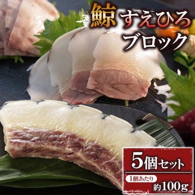 すえひろブロック約100g×5個セット(川棚町)