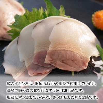 すえひろブロック約100g×5個セット(川棚町)
