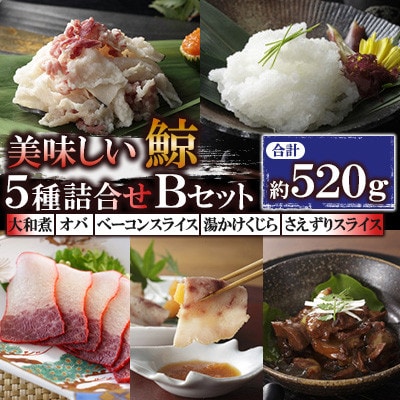 美味しい鯨5種詰め合わせBセット(川棚町)