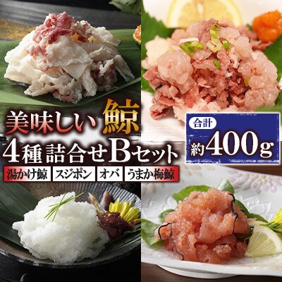 美味しい鯨4種詰め合わせBセット(湯かけ鯨、スジポン、オバ、うまか梅鯨)(川棚町)